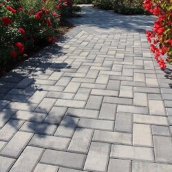 382807319_790373119761176_4450602935743231524_n