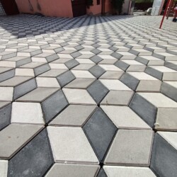 469556780_1112878954177256_3238921426244292575_n